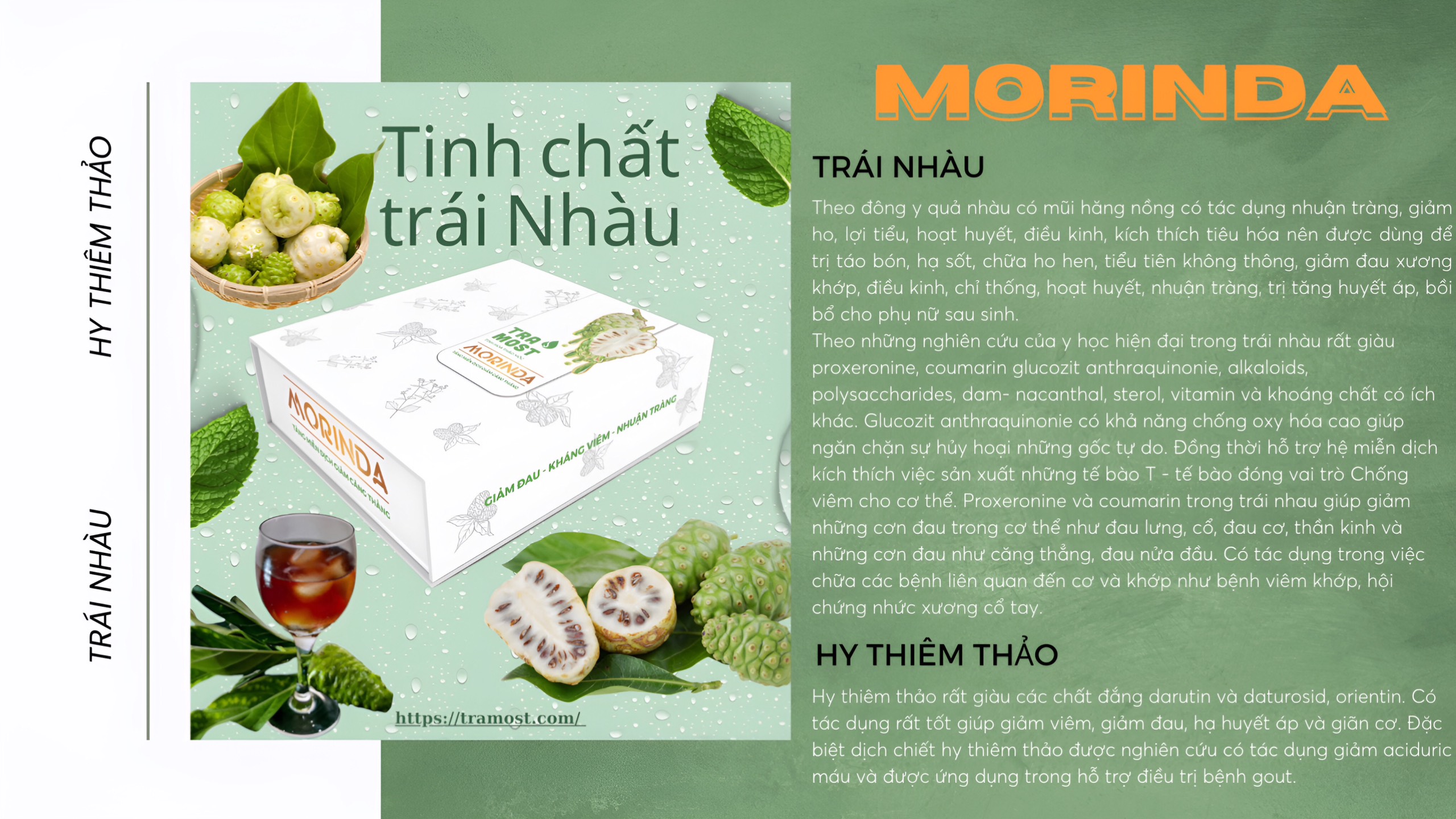 Morinda - Dưỡng Cốt An Thần