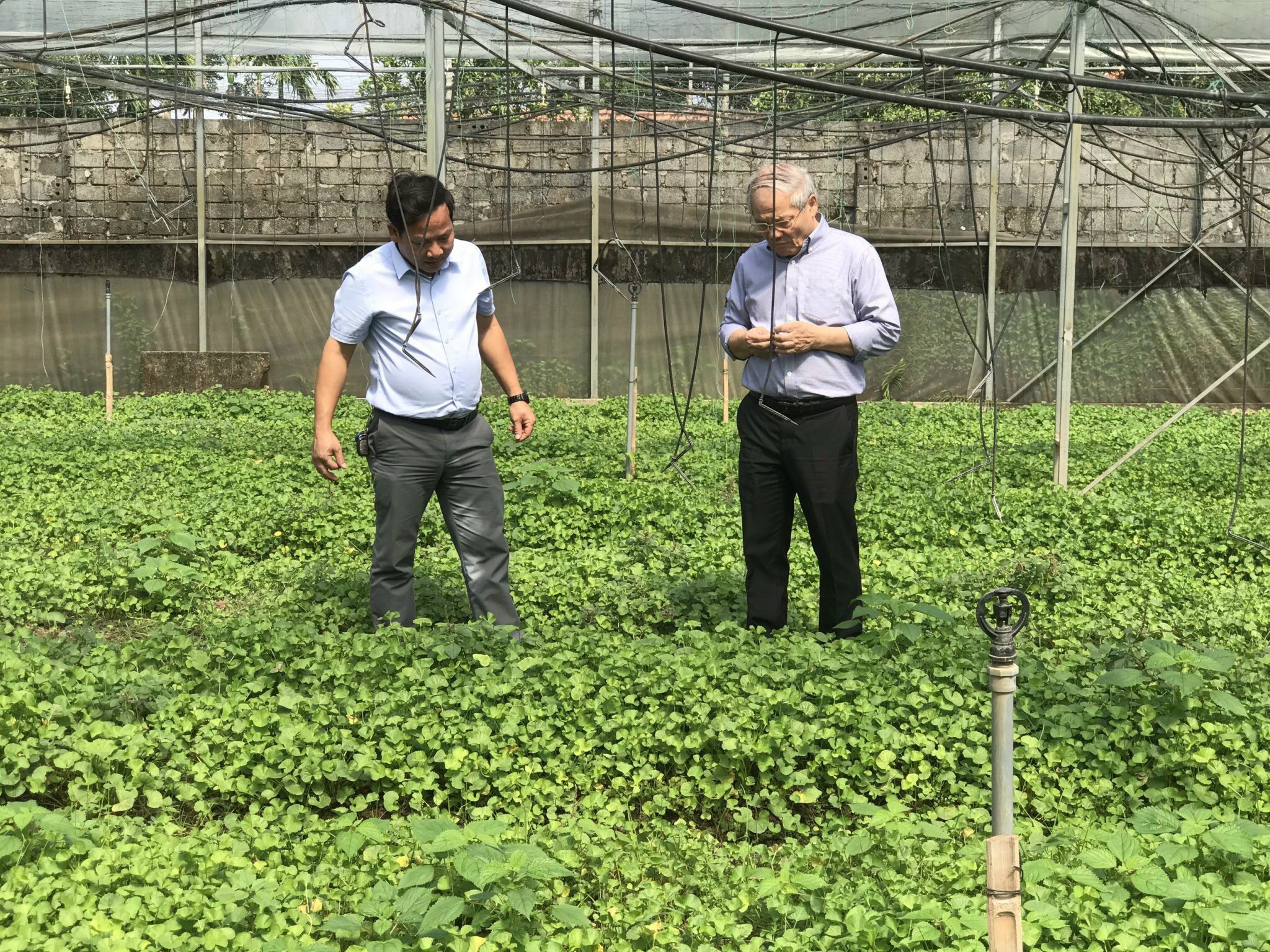 Nguồn nguyên liệu đạt chuẩn của công ty Ngọc Anh Nguồn nguyên liệu đạt chuẩn của công ty Ngọc Anh