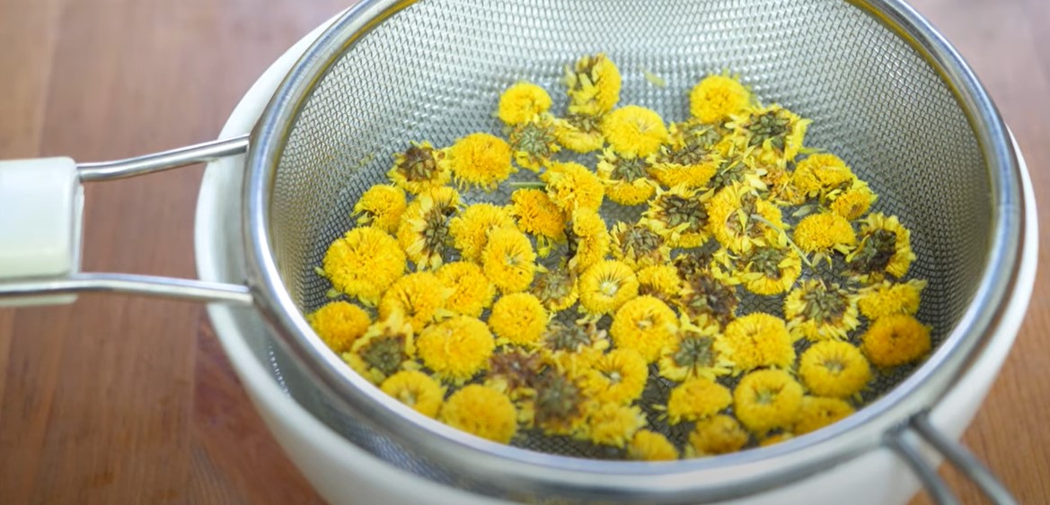 hoa cúc chi sấy lạnh