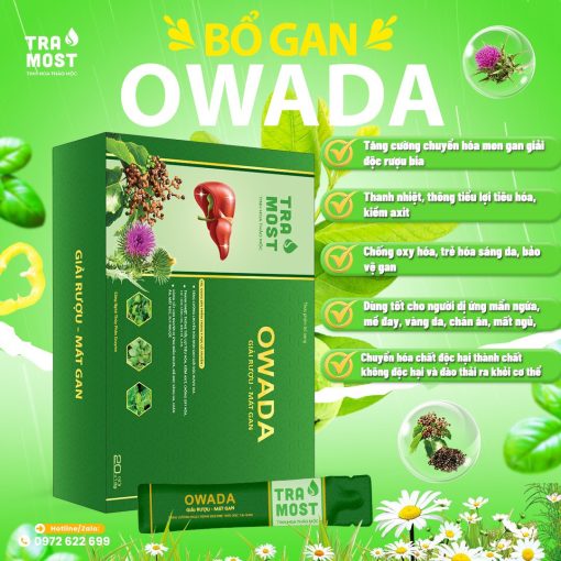 OWADA GIẢI RƯỢU - MÁT GAN (HỘP TO 20 GÓI) - Ảnh 9