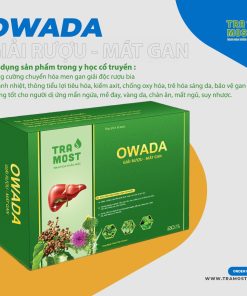 OWADA mat gan giai ruou 10