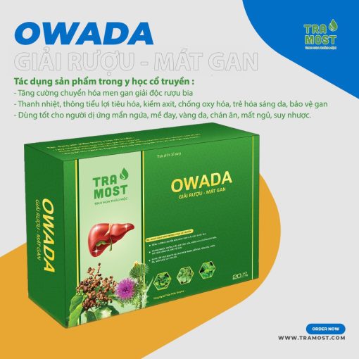 OWADA GIẢI RƯỢU - MÁT GAN (HỘP TO 20 GÓI) - Ảnh 2