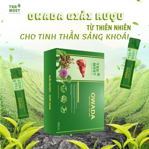 OWADA GIẢI RƯỢU - MÁT GAN (HỘP TO 20 GÓI) - Ảnh 7