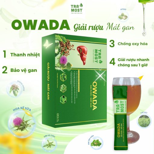 trà owada mát gan, bảo vệ gan