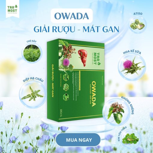 OWADA GIẢI RƯỢU - MÁT GAN (HỘP TO 20 GÓI) - Ảnh 4