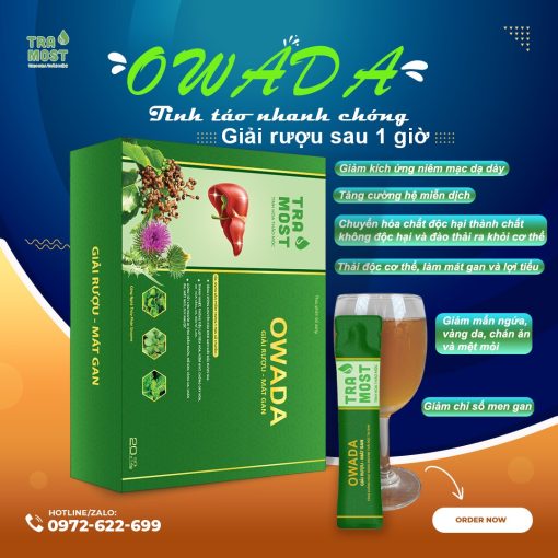 OWADA GIẢI RƯỢU - MÁT GAN (HỘP TO 20 GÓI) - Ảnh 3