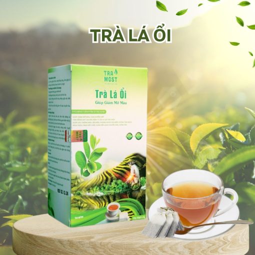 TRÀ LÁ ỔI (GIẢM MỠ MÁU)