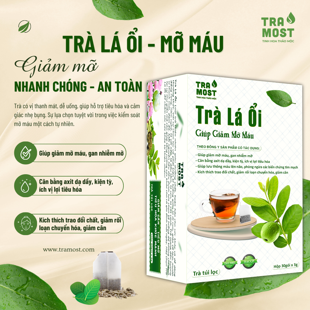 TRÀ LÁ ỔI (GIẢM MỠ MÁU) Trà lá ổi và cách dùng