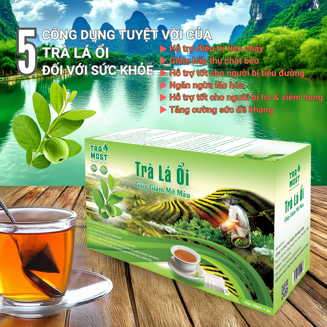 TRÀ LÁ ỔI (GIẢM MỠ MÁU) Trà lá ổi ảnh 4