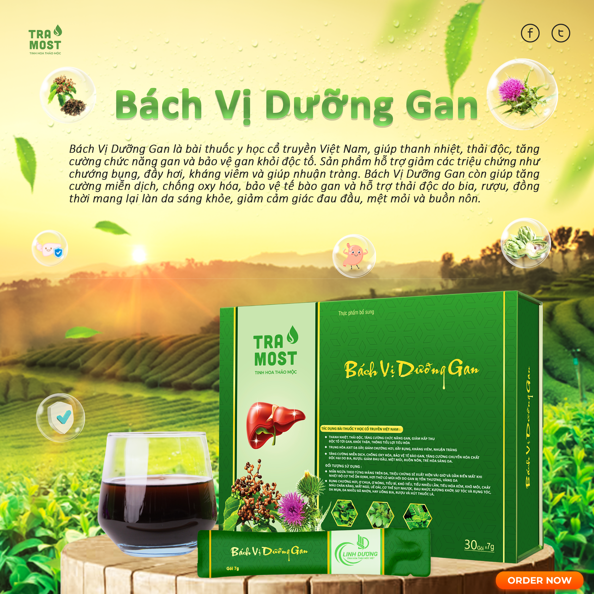BÁCH VỊ DƯỠNG GAN (THANH NHIỆT - THẢI ĐỘC GAN) Bách vị dưỡng gan và hướng dẫn sử dụng