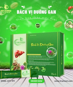 bách vị dưỡng gan nước uống hỗ trợ giải độc gan