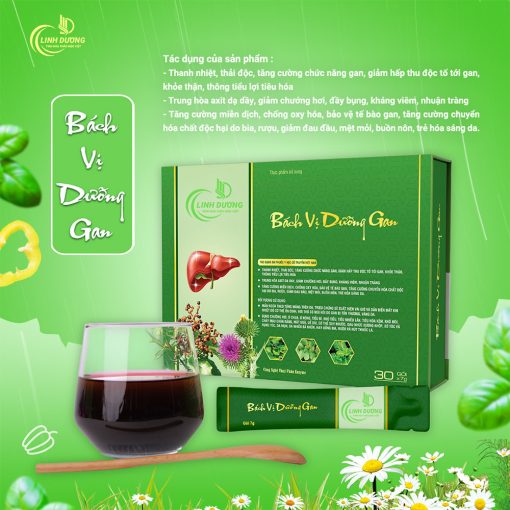 bách vị dưỡng gan nước uống hỗ trợ giải độc gan