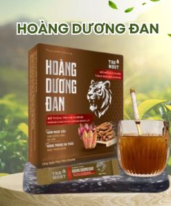 HOÀNG DƯƠNG ĐAN
