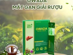 owada nhỏ