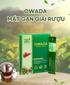 OWADA GIẢI RƯỢU - MÁT GAN (HỘP NHỎ 10 GÓI)