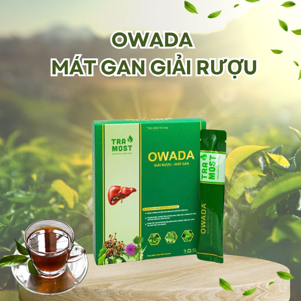 OWADA GIẢI RƯỢU - MÁT GAN (HỘP NHỎ 10 GÓI)