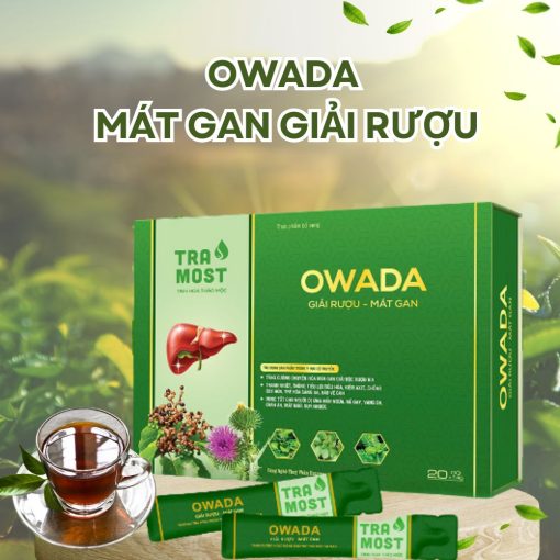 OWADA GIẢI RƯỢU - MÁT GAN (HỘP TO 20 GÓI)