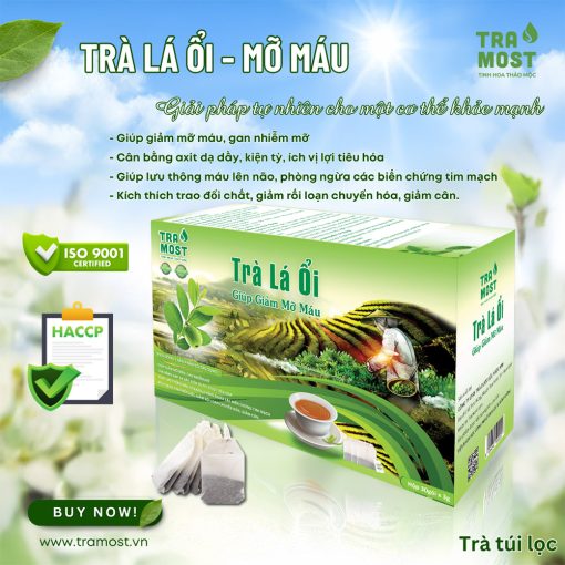 TRÀ LÁ ỔI (GIẢM MỠ MÁU) - Ảnh 3