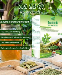trà lá ổi tra most