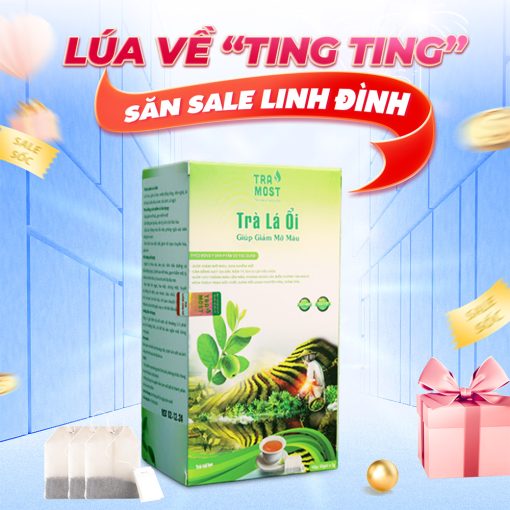 TRÀ LÁ ỔI (GIẢM MỠ MÁU) - Ảnh 5