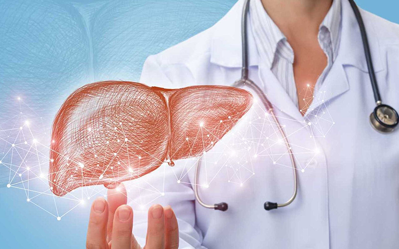 Ai nên dùng Bách vị dưỡng gan? Bí quyết chăm sóc sức khoẻ từ thiên nhiên bách vị dưỡng gan