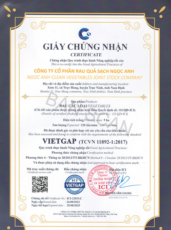 Trang chủ giay chung nha vietgap 1
