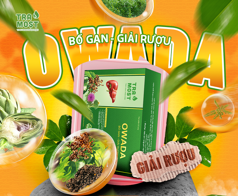 Lục Phủ Ngũ Tạng Trong Đông Y: Hiểu Biết Và Dưỡng Sinh Tự Nhiên Nếu muốn bổ gan sau những cuộc nhậu thì nên uống thêm các thực phẩm bổ sung để thải độc
