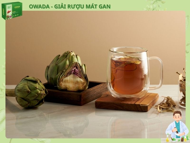 Owada - Một công giải rượu, ba công trị bệnh Atiso là thảo dược có công hiệu thải độc gan và thận
