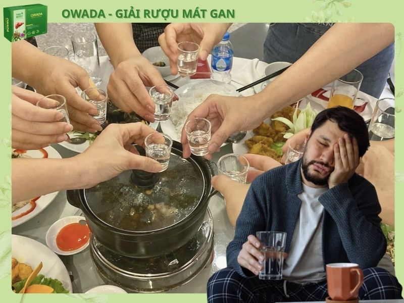 owada 7 1