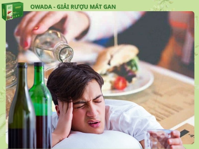 owada 8 1