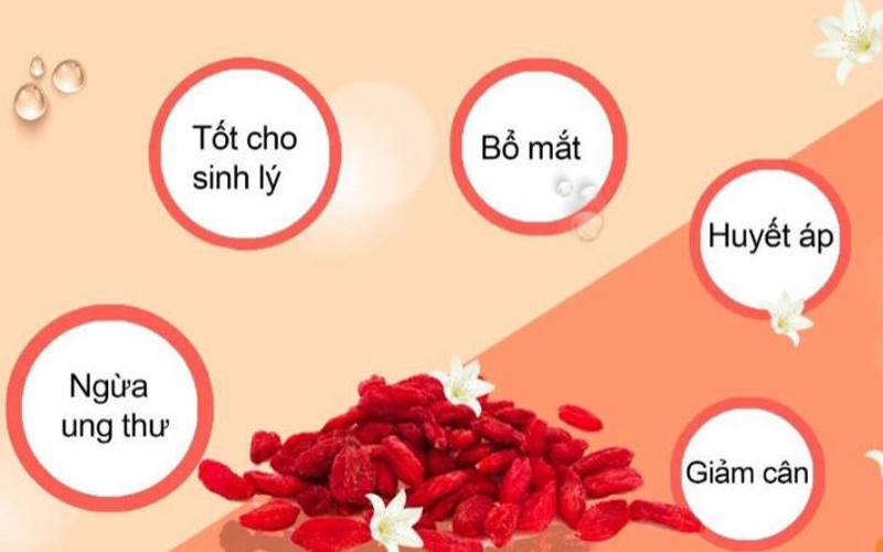 tác dụng của kỷ tử