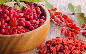 tác dụng của kỷ tử