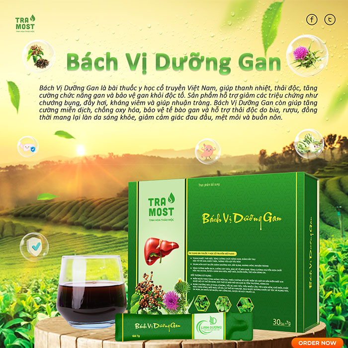 Ai nên dùng Bách vị dưỡng gan? Bí quyết chăm sóc sức khoẻ từ thiên nhiên thảo dược tốt cho gan