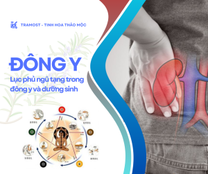 luc phu ngu tang trong dong y 1