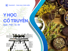 luc-phu-ngu-tang-trong-dong-y